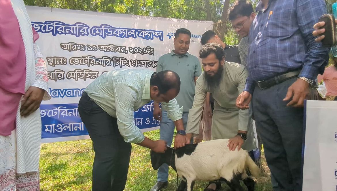 প্রান্তিক খামারিদের পাশে মাভাবিপ্রবি, বিনামূল্যে সেবা পেল ৩০০ পশু