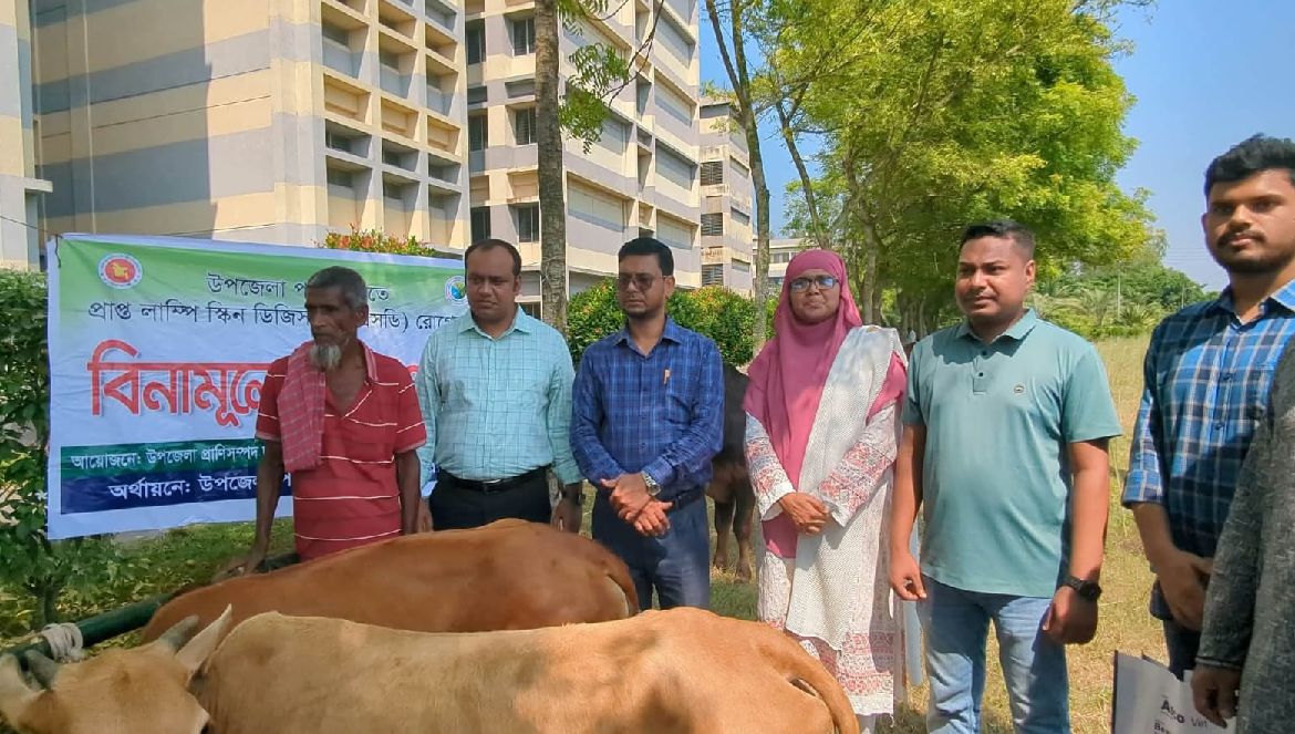 প্রান্তিক খামারিদের পাশে মাভাবিপ্রবি, বিনামূল্যে সেবা পেল ৩০০ পশু