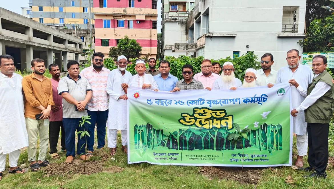 মুরাদনগরে বৃক্ষরোপণ কর্মসূচি পালন